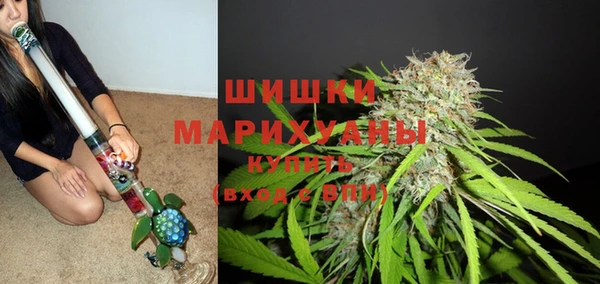 МДПВ Лиски