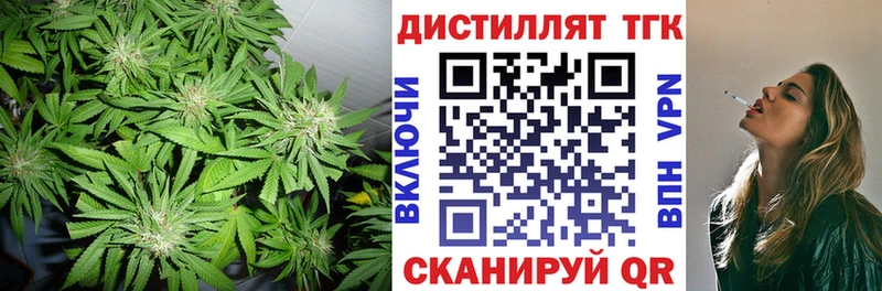 ТГК концентрат  Щигры 