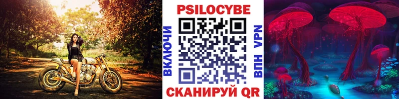 Псилоцибиновые грибы мицелий  кракен маркетплейс  Щигры  дарнет шоп 